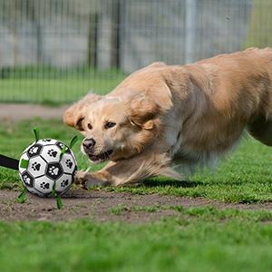 Palla da Calcio per Cani con Impugnature